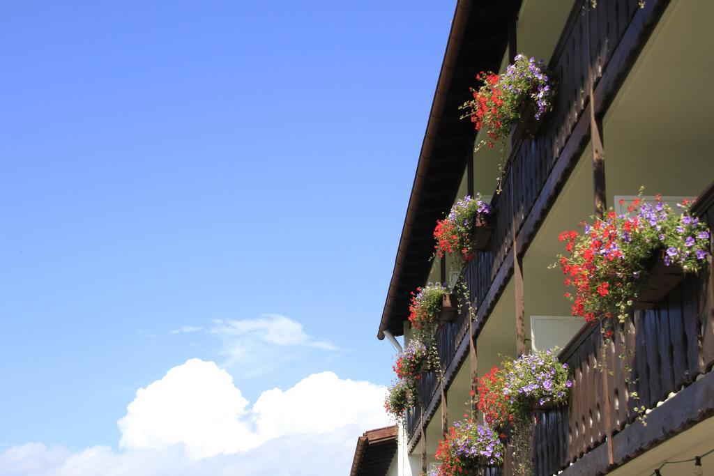 Hotel Alpenblick Berghof Halblech Ruang foto