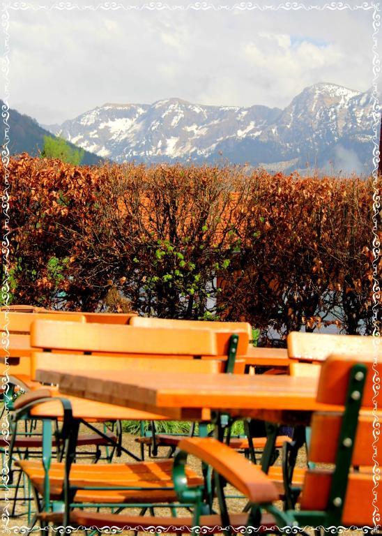 Hotel Alpenblick Berghof Halblech Bagian luar foto